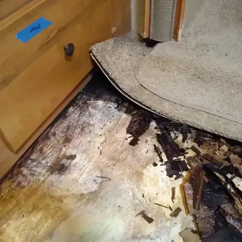 Wood Floor Water Damage in Valrico, FL